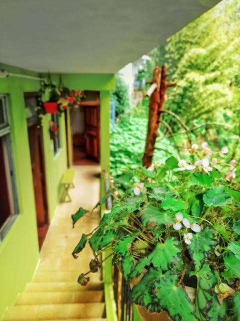Homestay Silver Sun Official Darjeeling (West Bengal)
